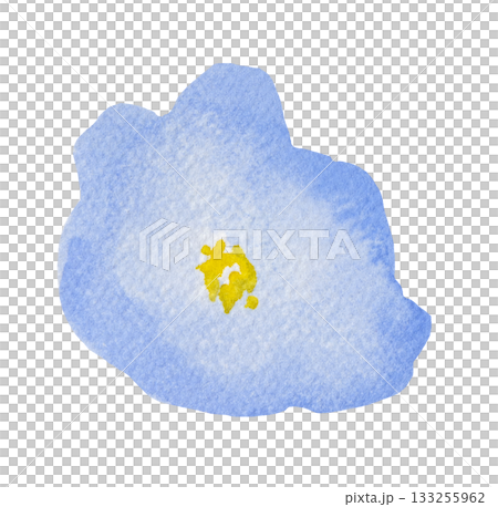Watercolor pastel light blue wild flower isolated illustration, floral wedding and greeting element 133255962