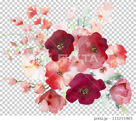 Bouquet with Watercolor pink and red poppy flowers and leaves, pastel wedding isolated illustration 133255965