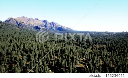 Towering mountains rise above a sprawling forest, where countless trees thrive under the bright sunlight. The scene captures the serenity of nature, inviting exploration and adventure. Towering mountains rise above a sprawling forest, where countless trees thrive under the bright sunlight. The scene captures the serenity of nature, inviting exploration and adventure. 133256033