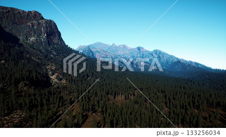 Majestic mountains rise above a vast expanse of green forests under a bright blue sky. The area is peaceful, showcasing the beauty of untouched nature and inviting exploration. 133256034