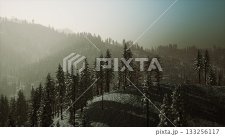 Majestic snow covered mountains rise in the background, while tall evergreens stand gracefully on the slopes. A soft mist hovers over the hills, creating a serene atmosphere at dawn. 133256117