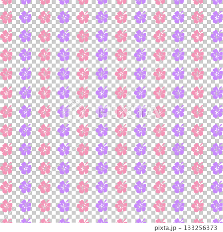 紫桃芙蓉背景素材 紫桃芙蓉背景素材 133256373