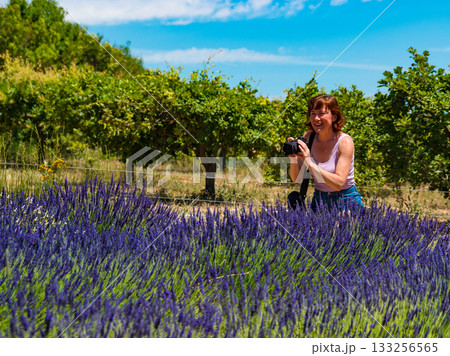 Woman take photo on lavender field, Provence France Woman take photo on lavender field, Provence France 133256565