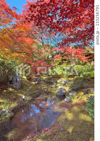 京都の紅葉名所 天龍寺 宝厳院 京都の紅葉名所 天龍寺 宝厳院 133256791