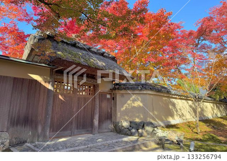 京都の紅葉名所　天龍寺 宝厳院 133256794
