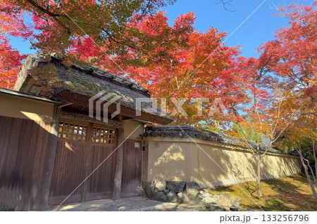 京都の紅葉名所　天龍寺 宝厳院 133256796