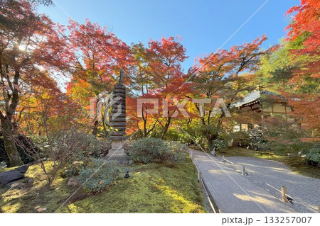 京都の紅葉名所　天龍寺 宝厳院 133257007
