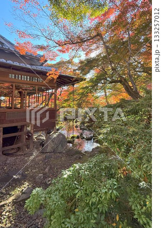 京都の紅葉名所 天龍寺 宝厳院 京都の紅葉名所 天龍寺 宝厳院 133257012