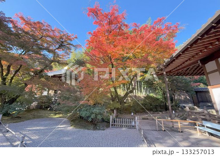 京都の紅葉名所　天龍寺 宝厳院 133257013