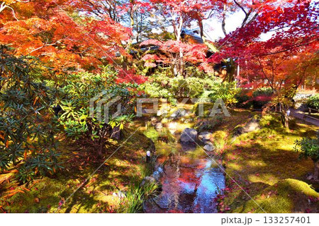 京都の紅葉名所 天龍寺 宝厳院 京都の紅葉名所 天龍寺 宝厳院 133257401