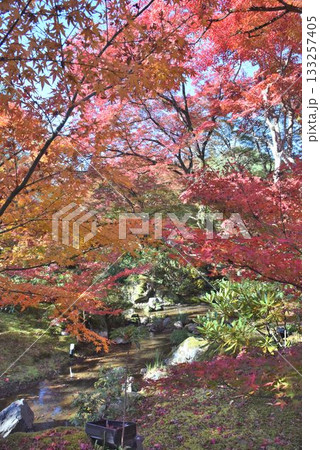 京都の紅葉名所 天龍寺 宝厳院 京都の紅葉名所 天龍寺 宝厳院 133257405