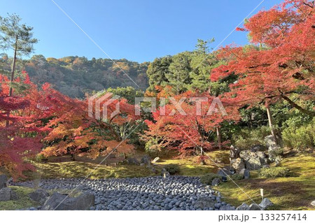 京都の紅葉名所 天龍寺 宝厳院 京都の紅葉名所 天龍寺 宝厳院 133257414