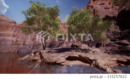 Two lush green trees stand gracefully near calm waters in a stunning canyon. The warm sunlight casts shadows on the colorful rock formations, creating a peaceful atmosphere. Two lush green trees stand gracefully near calm waters in a stunning canyon. The warm sunlight casts shadows on the colorful rock formations, creating a peaceful atmosphere. 133257622