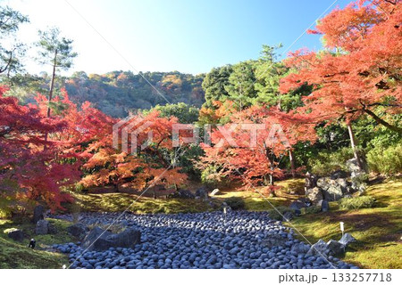 京都の紅葉名所 天龍寺 宝厳院 京都の紅葉名所 天龍寺 宝厳院 133257718