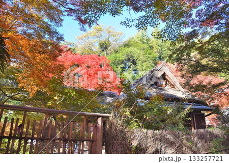 京都の紅葉名所　天龍寺 宝厳院 133257721