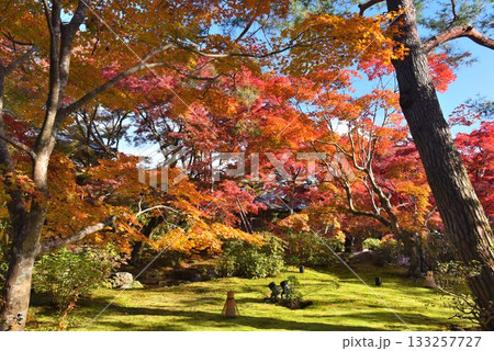 京都の紅葉名所　天龍寺 宝厳院 133257727