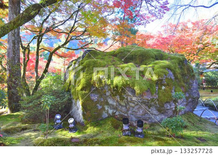京都の紅葉名所 天龍寺 宝厳院 京都の紅葉名所 天龍寺 宝厳院 133257728