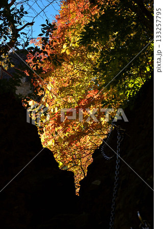 渓谷の中を通る道 133257795