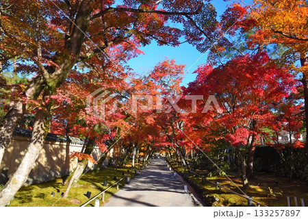 京都の紅葉名所 天龍寺 宝厳院 京都の紅葉名所 天龍寺 宝厳院 133257897
