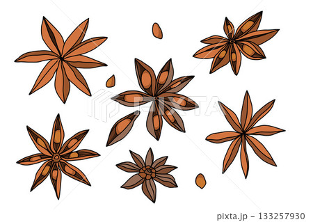 Large set of star-shaped anise seeds, flat style spicy aromatic spices on white background 133257930
