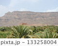 Palm trees in green oasis in desert arid landscape between Agdz and Zagora towns in Atlas Mountains, Morocco, North Africa Palm trees in green oasis in desert arid landscape between Agdz and Zagora towns in Atlas Mountains, Morocco, North Africa 133258004