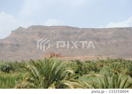 Palm trees in green oasis in desert arid landscape between Agdz and Zagora towns in Atlas Mountains, Morocco, North Africa Palm trees in green oasis in desert arid landscape between Agdz and Zagora towns in Atlas Mountains, Morocco, North Africa 133258004