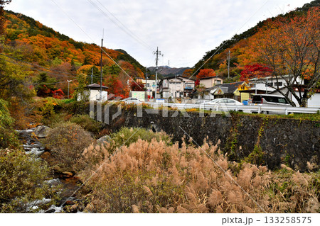 増富ラジウム温泉峡(山梨県北杜市)【2025.11】 133258575