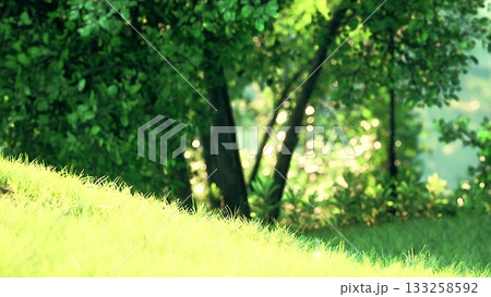 A serene scene captures sunlight streaming through lush green trees. The vibrant grass glows brightly, inviting tranquility in a peaceful natural setting filled with life. 133258592