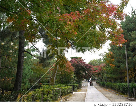 京都でめぐり逢う 美しい秋景色 京都でめぐり逢う 美しい秋景色 133258710