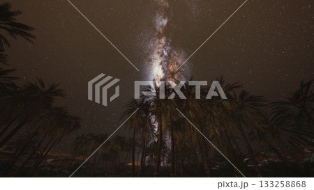 Under a clear night sky, the stunning Milky Way stretches above tall palm trees. Stars twinkle brightly, creating a peaceful atmosphere in this serene landscape, perfect for stargazing. Under a clear night sky, the stunning Milky Way stretches above tall palm trees. Stars twinkle brightly, creating a peaceful atmosphere in this serene landscape, perfect for stargazing. 133258868