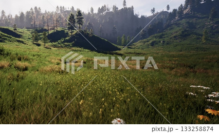 Soft sunlight bathes the lush meadow, where vibrant wildflowers bloom amidst rolling green hills. Tall trees provide shade, creating a peaceful atmosphere in nature. 133258874