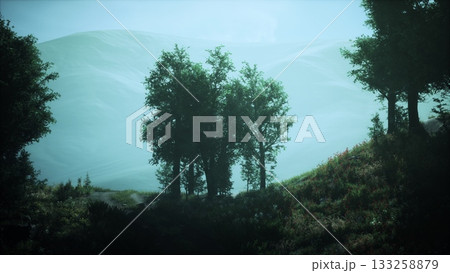 Tall trees create shadows on a serene hillside while soft blue mountains provide a calming backdrop. The tranquility of nature is captured in vivid colors and gentle light. Tall trees create shadows on a serene hillside while soft blue mountains provide a calming backdrop. The tranquility of nature is captured in vivid colors and gentle light. 133258879