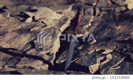 A mysterious dagger stands upright, embedded in rugged stones under the soft glow of twilight. Shadows dance around it, enhancing the enchanting atmosphere of the scene. A mysterious dagger stands upright, embedded in rugged stones under the soft glow of twilight. Shadows dance around it, enhancing the enchanting atmosphere of the scene. 133258906
