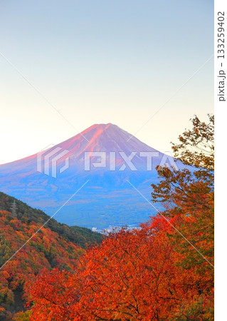 紅葉の御坂峠天下茶屋からの富士山展望 133259402