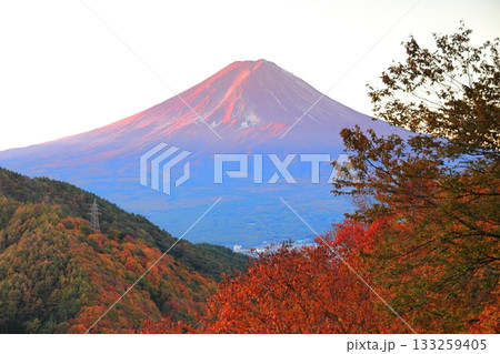 紅葉の御坂峠天下茶屋からの富士山展望 133259405
