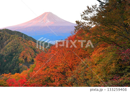 紅葉の御坂峠天下茶屋からの富士山展望 紅葉の御坂峠天下茶屋からの富士山展望 133259408