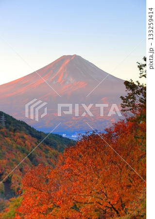 紅葉の御坂峠天下茶屋からの富士山展望 133259414
