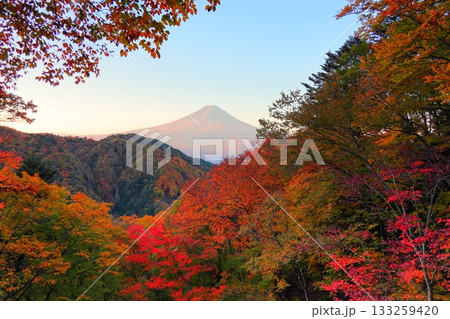 紅葉の御坂峠天下茶屋からの富士山展望 133259420