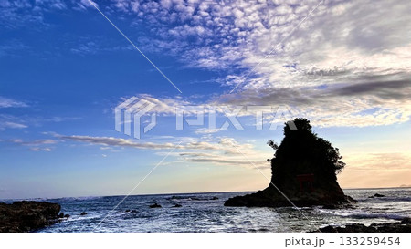 鯛の浦遊歩道　【鴨川市小湊】 133259454