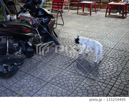 ベトナムのホーチミン 133259495