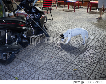 ベトナムのホーチミン 133259496