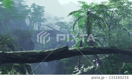 Dense greenery fills the valley as sunlight streams through the tall trees. A fallen log creates a natural bridge in the serene landscape, inviting exploration and calm. Dense greenery fills the valley as sunlight streams through the tall trees. A fallen log creates a natural bridge in the serene landscape, inviting exploration and calm. 133260258