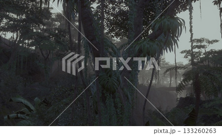 Amid the dense foliage, towering trees stretch towards the sky, their branches draped with green vines. Soft morning light filters through the mist, creating an enchanting atmosphere. 133260263