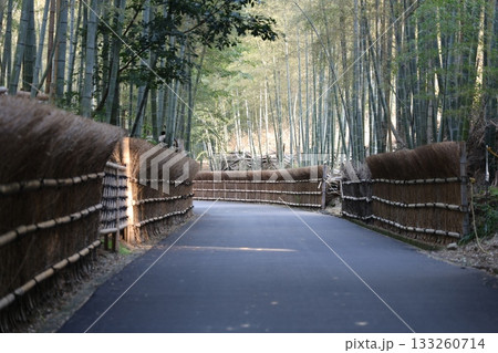 竹林のある風景 竹林のある風景 133260714