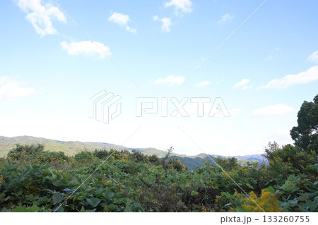 山の上から見た景色 133260755