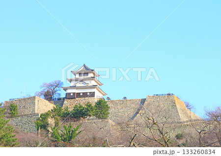 香川県丸亀市、丸亀城の風景 香川県丸亀市、丸亀城の風景 133260834