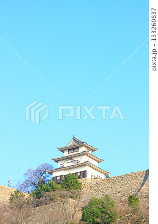 香川県丸亀市、丸亀城の風景 133260837