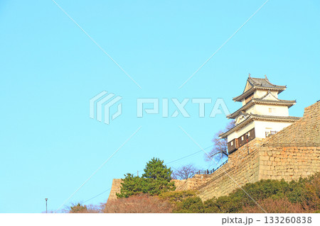 香川県丸亀市、丸亀城の風景 133260838