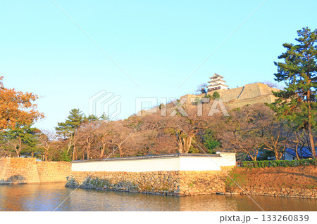 香川県丸亀市、丸亀城の風景 香川県丸亀市、丸亀城の風景 133260839