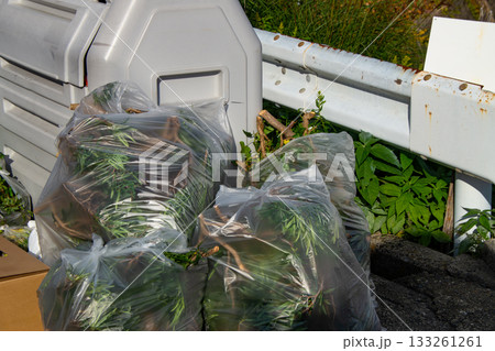 ごみ収集所の植木ごみ ごみ収集所の植木ごみ 133261261